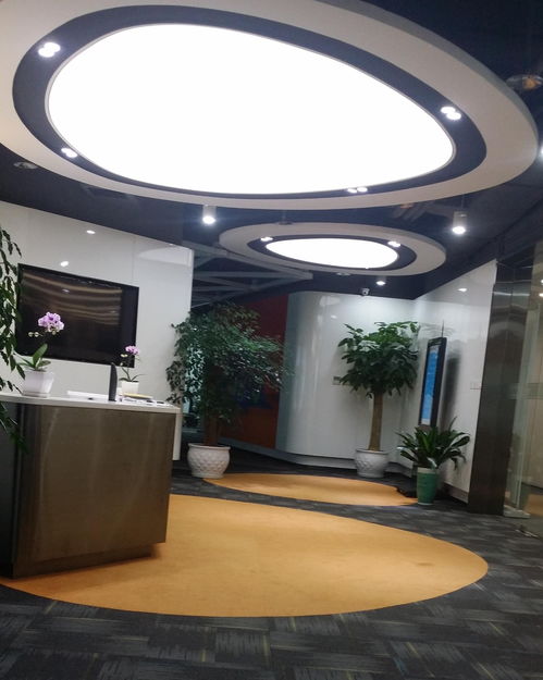 專注于網絡技術創新 上海慧犇網絡科技的發展之路